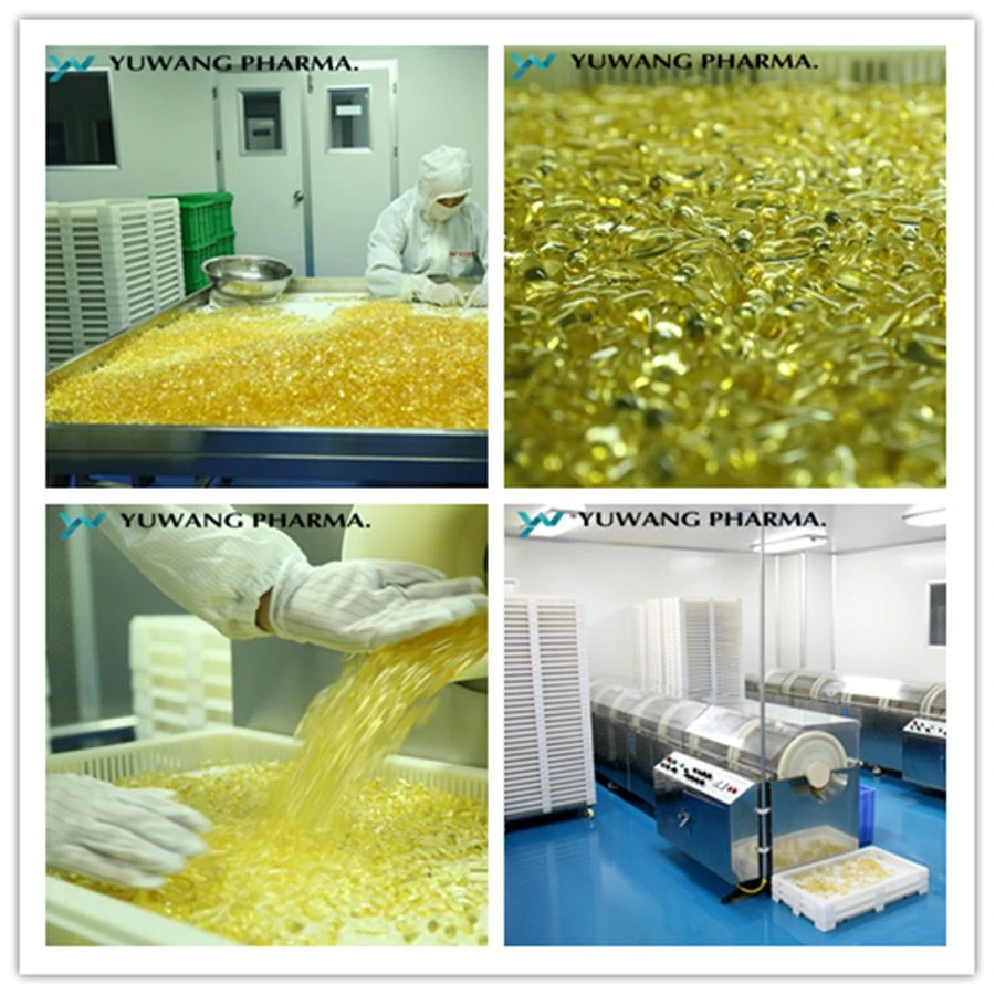 Prevention Cardiovascular and Cerebrovascular Diseases Soybean Extract Lecithin Softgel