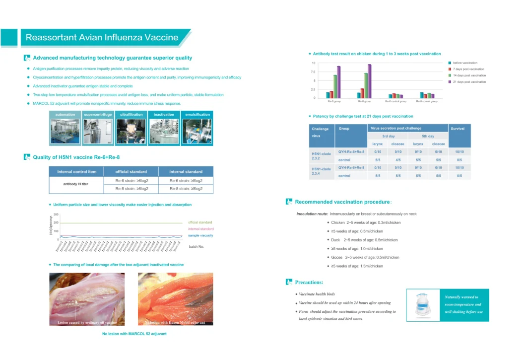 Newcastle Disease and Infectious Bronchitis Vaccine, Live (LA SOTA strain + H120 strain) for Poultry