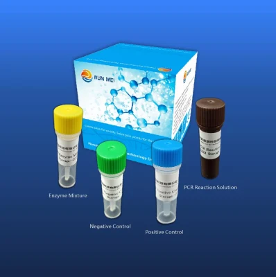 Kit de detecção de ácido nucleico do vírus da gripe aviária