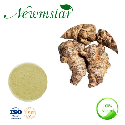 Extrato de flor de pseudo-ginseng / Panax Notoginseng (Burk.) Melhor remédio para doenças cardiovasculares